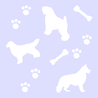 �ǎ�