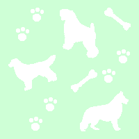 �ǎ�