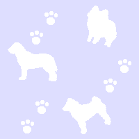 �ǎ�