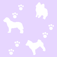 �ǎ�