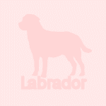 �ǎ�