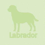 �ǎ�