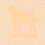 �ǎ�