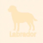 �ǎ�