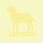 �ǎ�