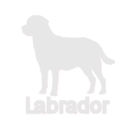 �ǎ�