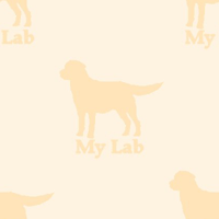 �ǎ�