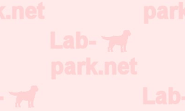 �ǎ�