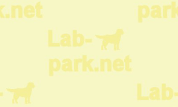 �ǎ�