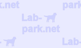 �ǎ�