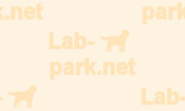 �ǎ�