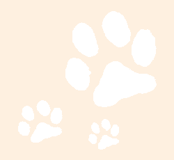 �ǎ�