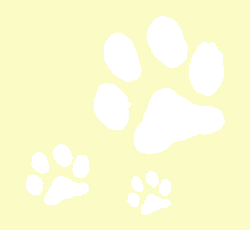 �ǎ�