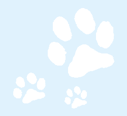 �ǎ�