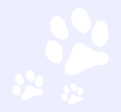 �ǎ�
