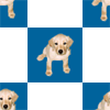 �ǎ�