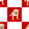 �ǎ�
