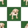 �ǎ�