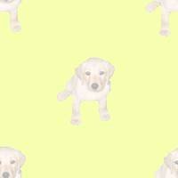 �ǎ�