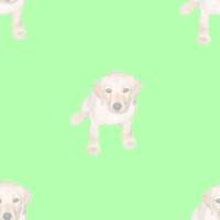 �ǎ�