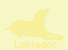 �ǎ�