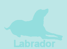 �ǎ�