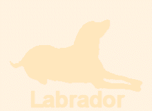 �ǎ�