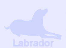 �ǎ�