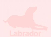 �ǎ�