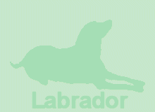 �ǎ�