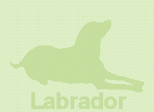 �ǎ�