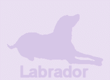 �ǎ�