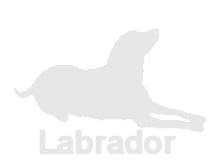 �ǎ�